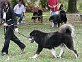 img 053
